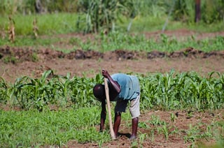 planting-farm-africa.jpg