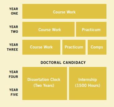 Phd Structure