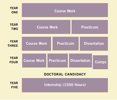 PsyD Structure