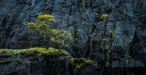 nature and rocks